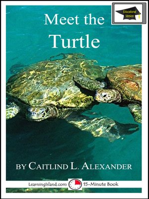 cover image of Meet the Turtle